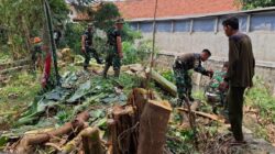 Cegah Korban Akibat Pohon Tumbang di Musim Penghujan, Babinsa Koramil 03/Teluk Pucung Bersama Tiga Pilar Lakukan Pemotongan Dahan dan Ranting Pohon