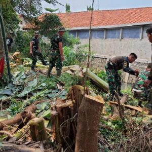 Cegah Korban Akibat Pohon Tumbang di Musim Penghujan, Babinsa Koramil 03/Teluk Pucung Bersama Tiga Pilar Lakukan Pemotongan Dahan dan Ranting Pohon