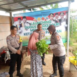 Dukung Ketahanan Pangan, Polsek Kalideres dan Warga Semanan Panen Tanaman Bayam dan Ceisim