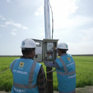 Dukung Tranformasi Pertanian Modern, _Electrifying Agriculture_ PLN Raih 53.539 Pelanggan Baru di Tahun 2024