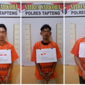 Tiga Pengedar Sabu Berhasil di Tangkap Sat Narkoba Polres Tapteng di Dua TKP