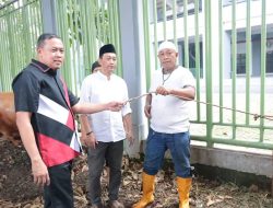 Semangat Kurban dan Prestasi: Wali Kota Bekasi Bagikan Sapi Untuk Atlet dan Masyarakat