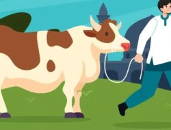 Skandal Daging Kurban: Warga Bantar Gebang Diminta Bayar Rp 15 Ribu per Kantong